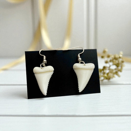Shark tooth-shaped earrings on a black card with a blurred decorative background