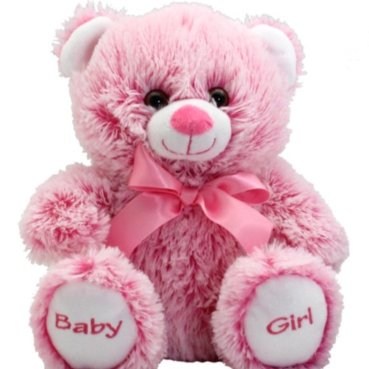Teddytime Remmie Bear Soft Toy