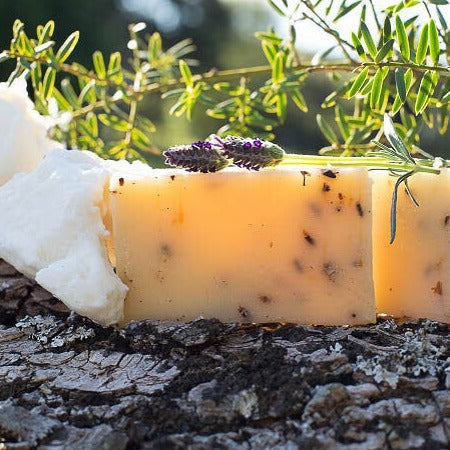 Nudi Point Healing Body Bar