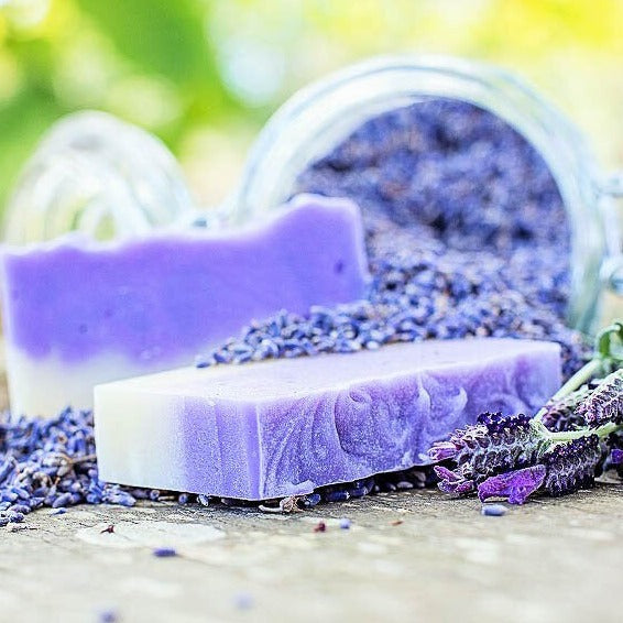 Nudi Point Lavender Body Bar