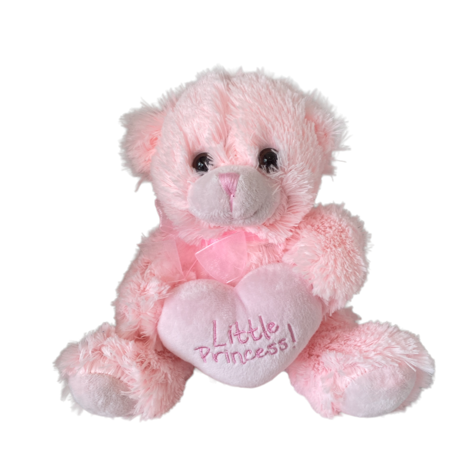 Little store princess teddy