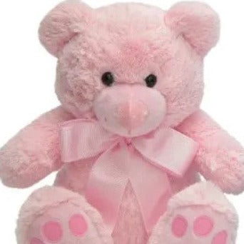 Cuddly Bear Soft Toy